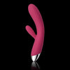 BEGINNER'S SEX TOYS